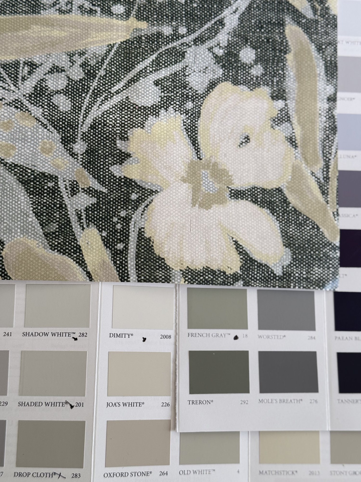 Close-up of botanical linen fabric with Farrow & Ball paint chip pairings